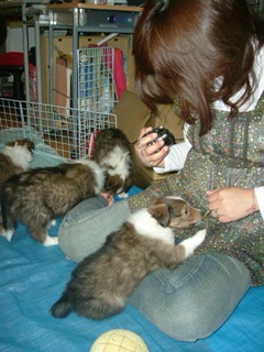 お戯れを…。笑