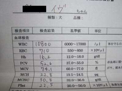 血の気が…多い？笑