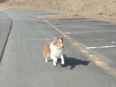 白石峠