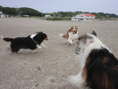阿字ヶ浦で走るーっ