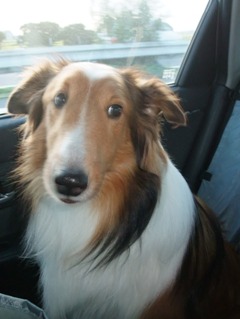 カイザーぼー…