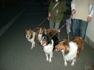 暗くなるまで遊んでもらったょ♪