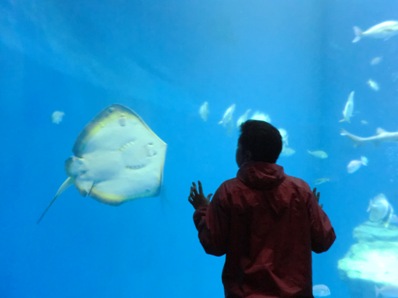 大洗アクアワールド