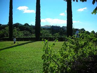 Copy of Picture 236.jpg