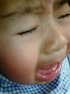 歯が生えた