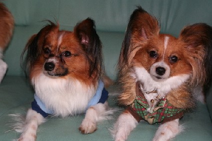 asti&vino