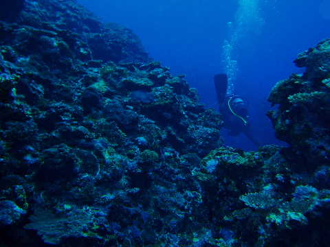 diver1