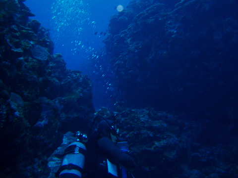 diver2