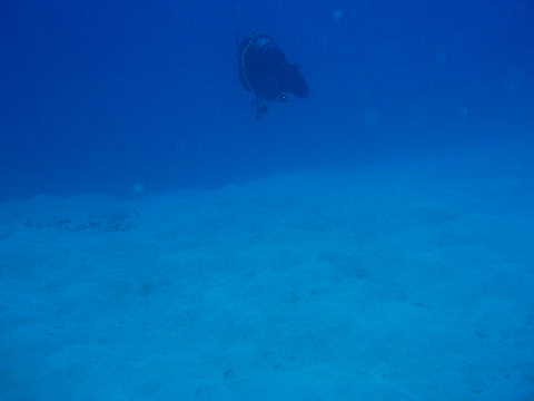 diver3