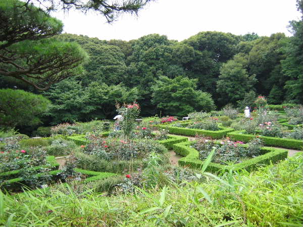 花壇