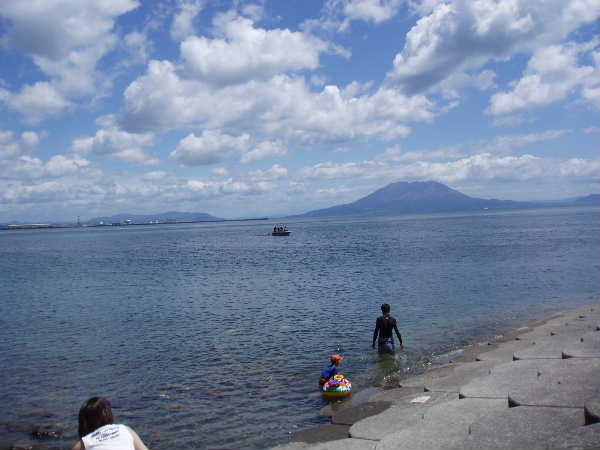 錦江湾沿いの水辺