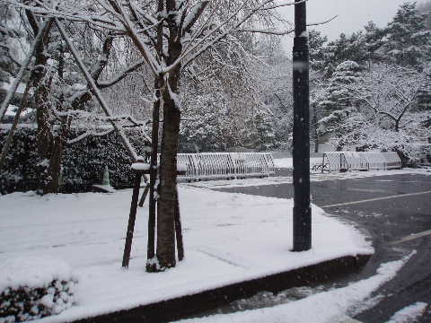 雪の皇居