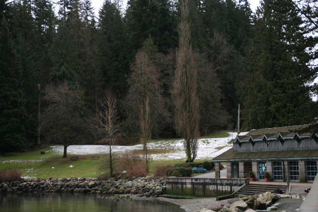 ﾃﾞｨｰﾌﾟｺｰﾌﾞの水辺