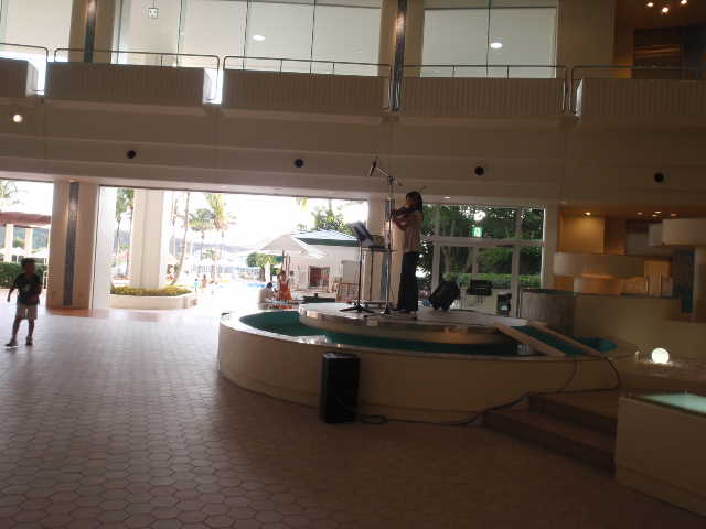 ﾊﾞｲｵﾘﾝの演奏