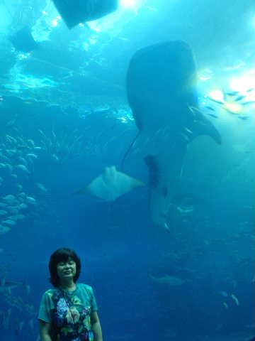 ジンベイと一緒に