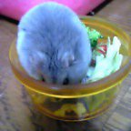 ひ～ま～た～ね～！！