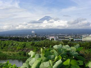 富士山２０１０年７月１７日１５：４５