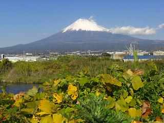 富士山２０１０年１１月２９日１２：５９