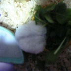 リボンちゃん食べ姿・１