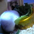 リボンちゃん食べ姿・２