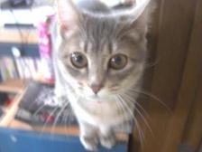 えっ！？何！？