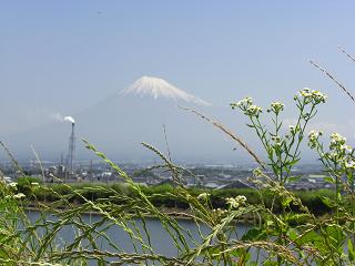 富士山２０１０年６月１０日９：３９