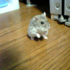 いいのかな？？