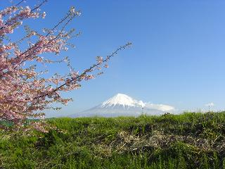 富士山と桜２０１１年３月９日８：４６