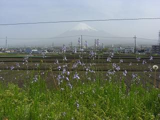 富士山２０１１年５月２日９：０５