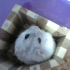 (￣ヘ￣;)ウーン