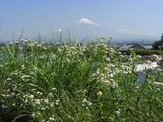 富士山２０１０年６月１０日９：４１