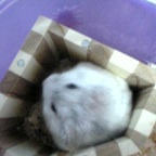 なんだか・・・