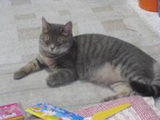 眠そう・・・。