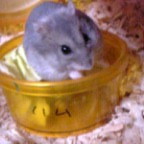 バナナチップ食べてます～。