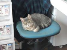 (ー'`ー;)ムムッ