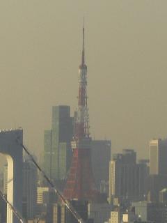 霞んでるけど東京タワー