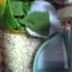 なにか乗ってるよ