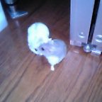 くんくん・・・