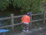 動物そっちのけ