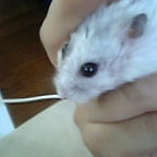 意地でも傷は見せないらしいっす。