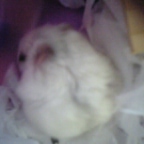 (｀へ´)プンプン