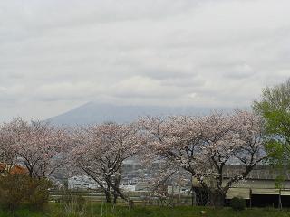 富士山２０１０年４月９日１０：３６