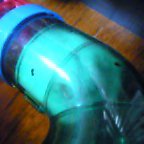 リボンちゃん、み～っけ♪