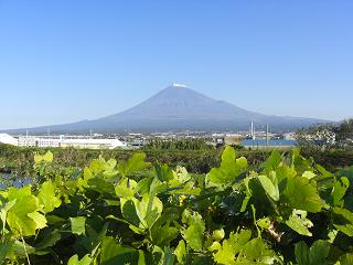 富士山２０１１年１１月１６日８：５４