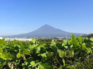 富士山２０１１年１１月１日８：３６