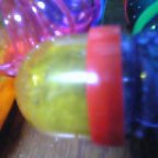 ハムちゃんみ～っけ♪