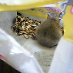 お宝の山～♪♪