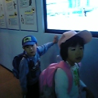 ペンギンの説明ビデオ