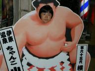 どすこ～い！はるの花～！！