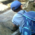 体験コーナー・ゆ